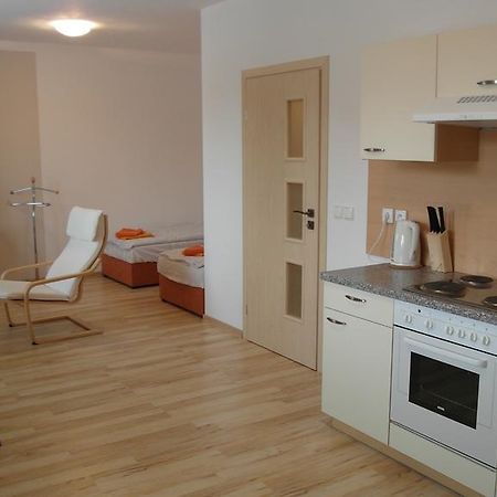 Ernesta Club Lipno Appartement Lipno nad Vltavou Buitenkant foto